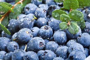 blueberries-fresh.jpg.838x0_q80